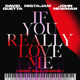 DAVID GUETTA, MISTAJAM & JOHN NEWMAN - IF YOU REALLY LOVE ME (HOW WILL I KNOW)